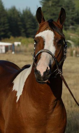 Giovana Lottery Ticket