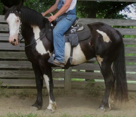 Zartha's Eston Legend