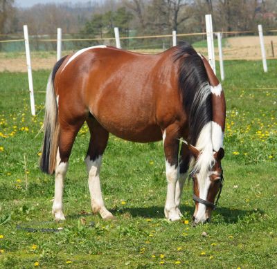 Loventy Aialle Smaract